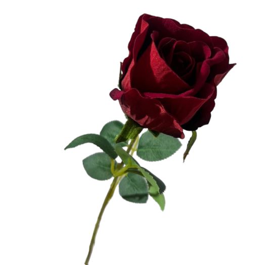 Boccio rosa