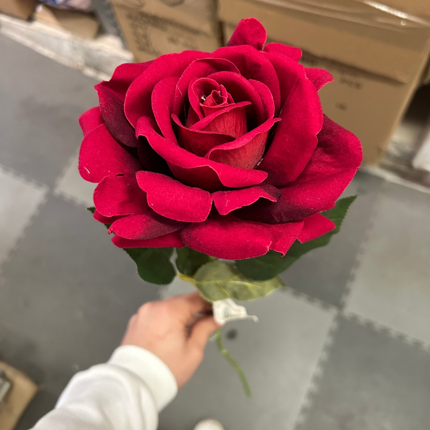 Rosa singola grande in velluto