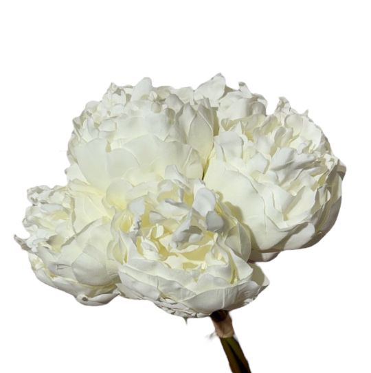Bouquet peonia x6 38cm - Mamà Lah