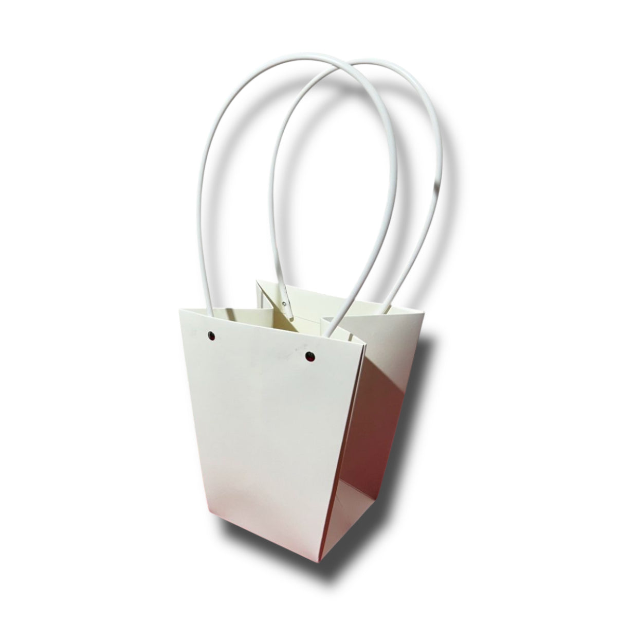 Buste carta con manico 17x20/40cm (12pz)