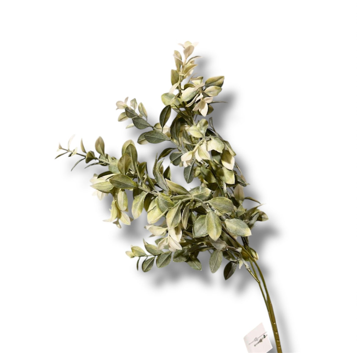 Boxwood spray x3