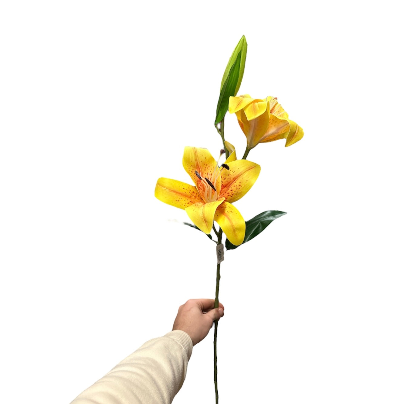 Lilium artificiale - Mamà Lah