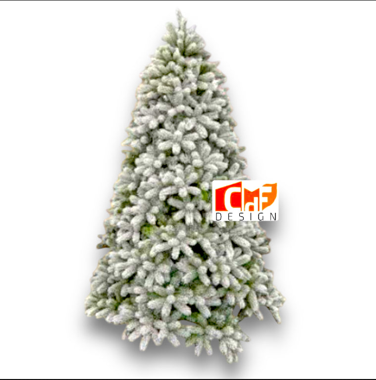 Albero Iowa