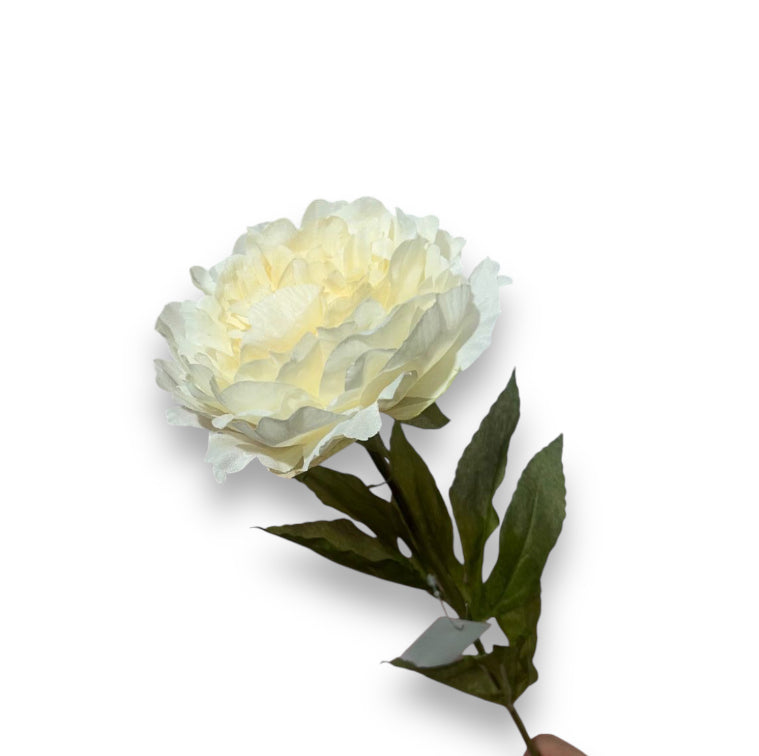 Single peony spray 70cm
