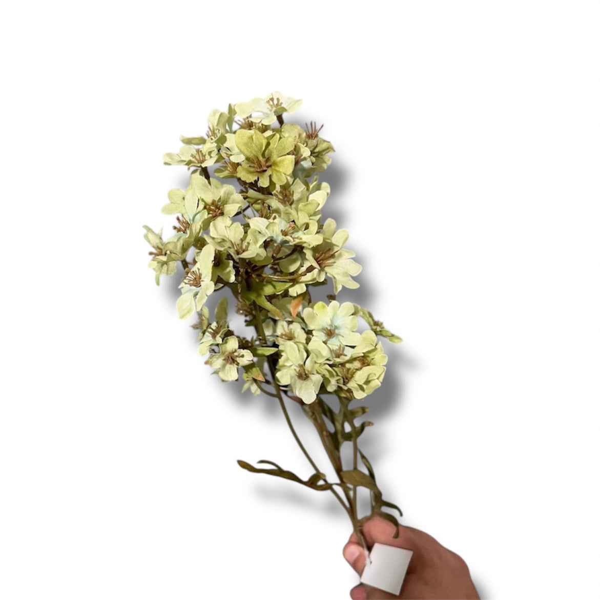 Verbera spray 70cm