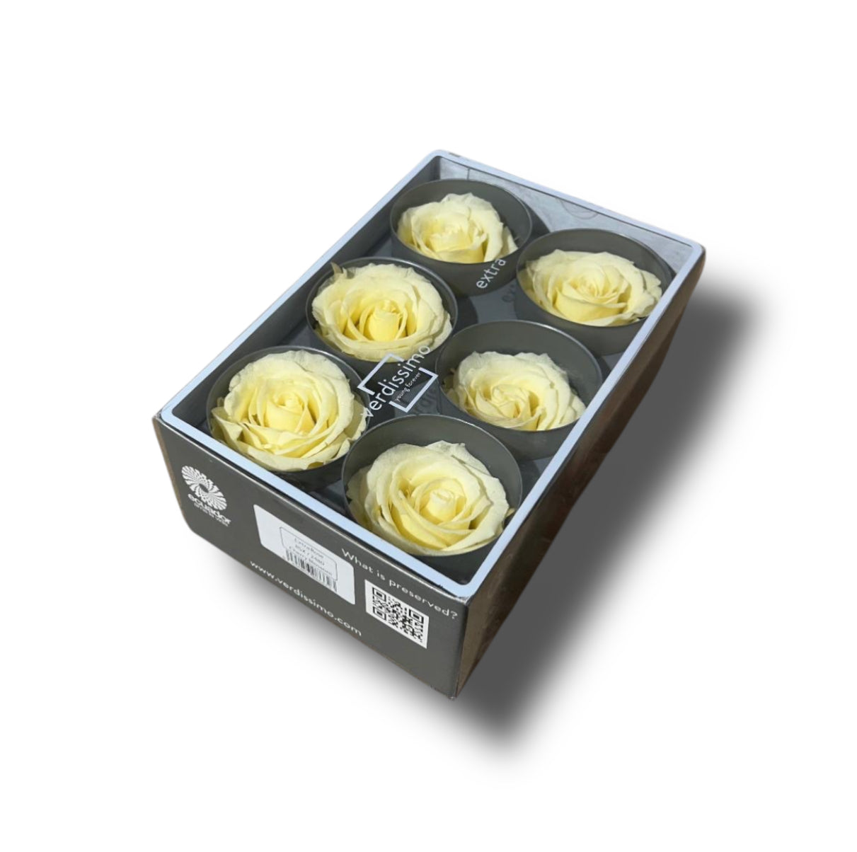 Rose stabilizzate standard 6pz