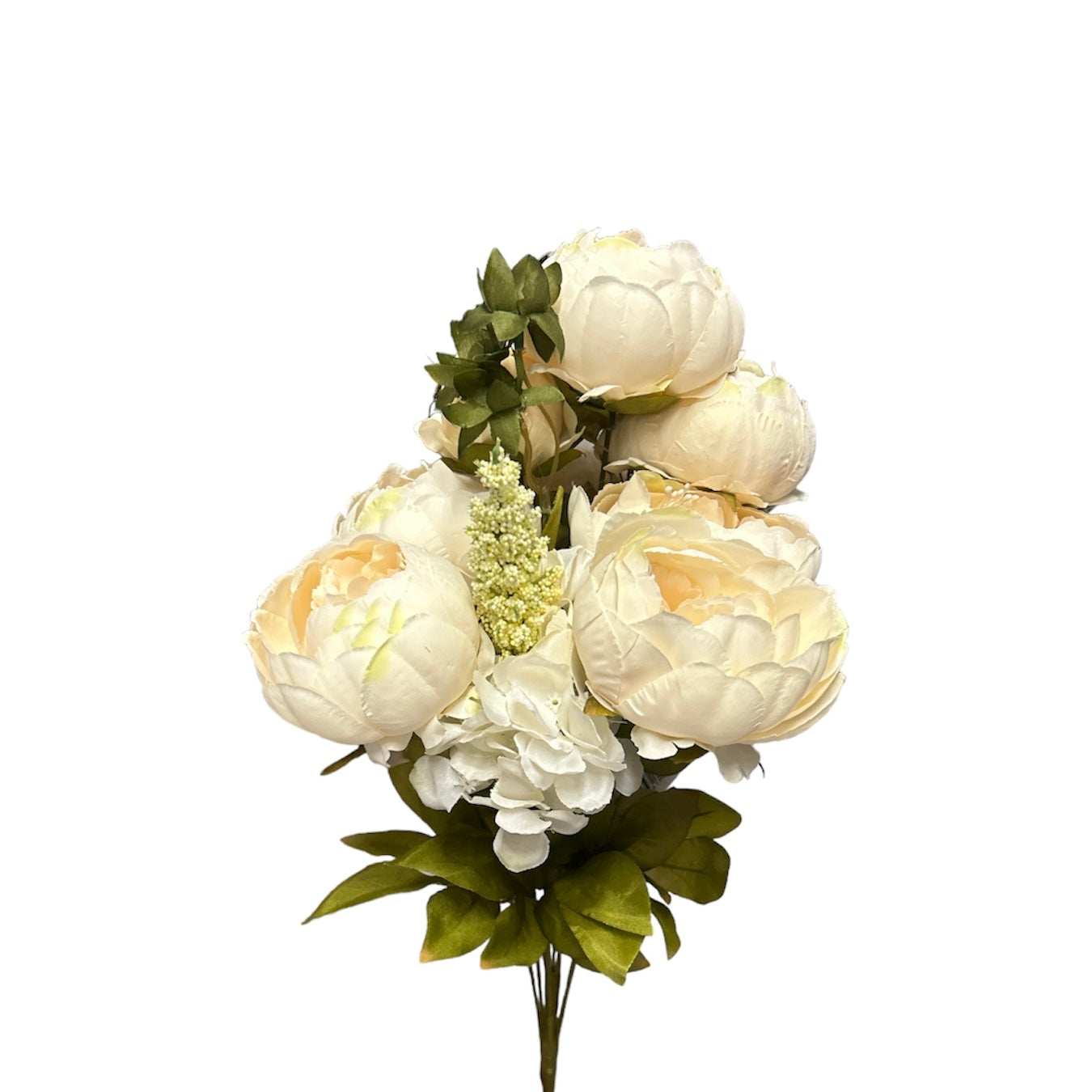 Bush peonie - Mamà Lah