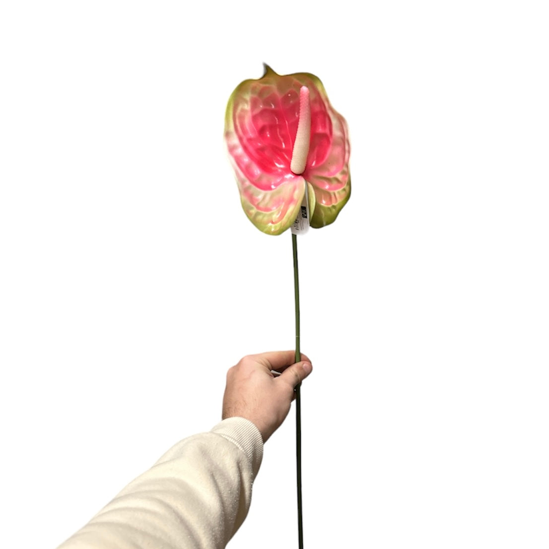 Anthurium spray