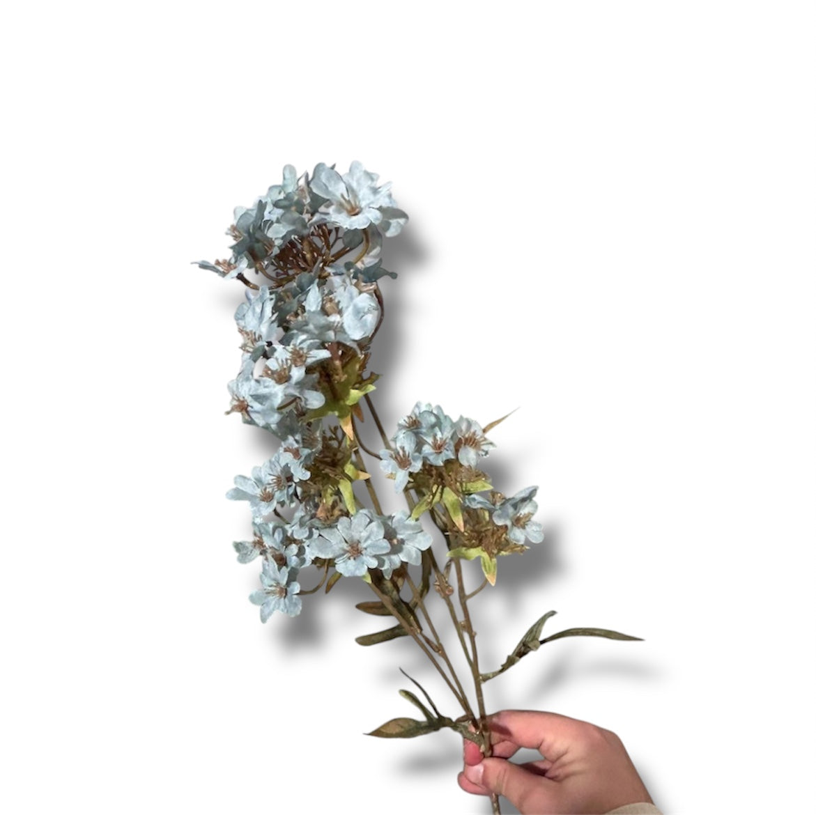 Verbera spray 70cm