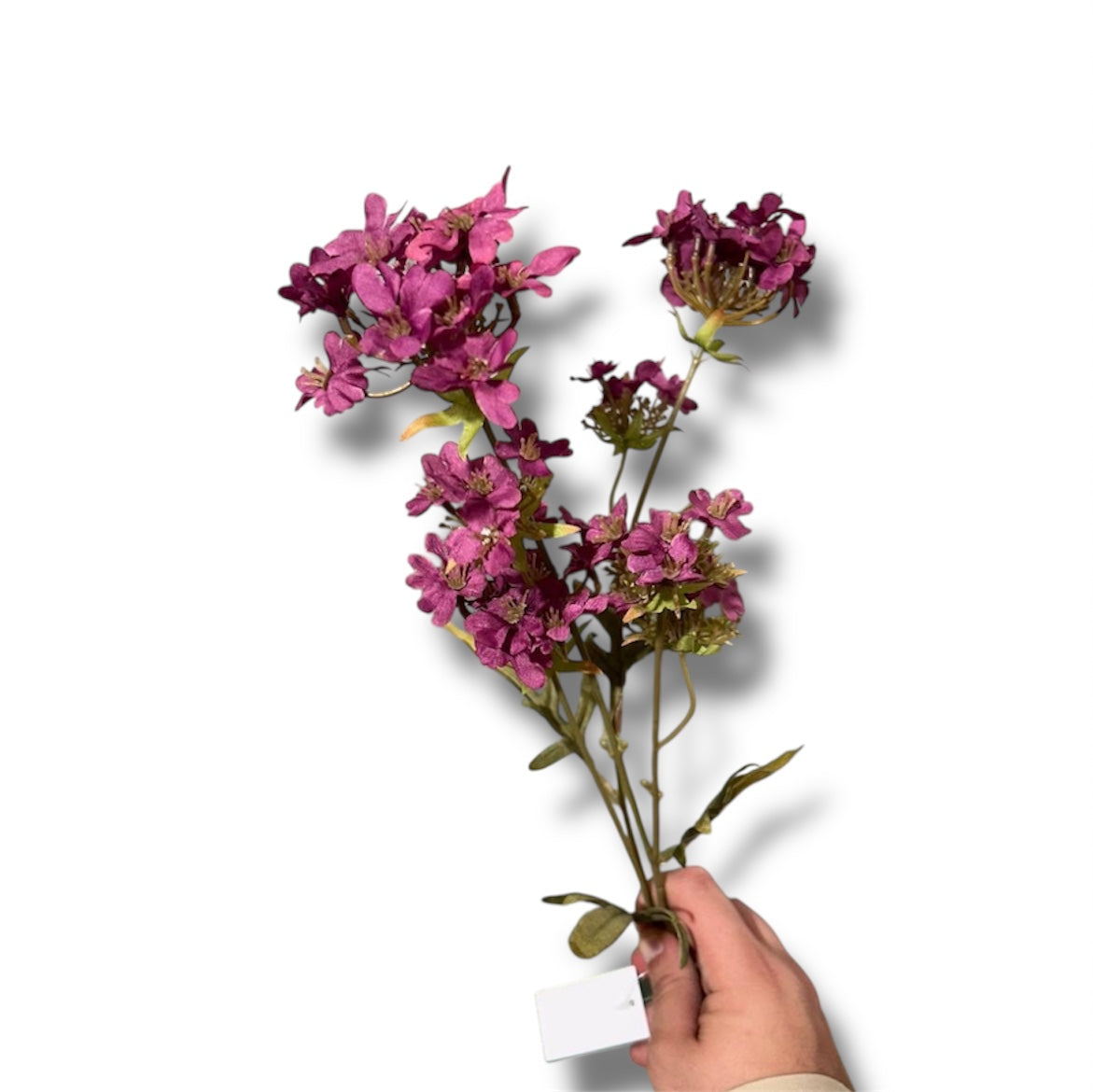 Verbera spray 70cm