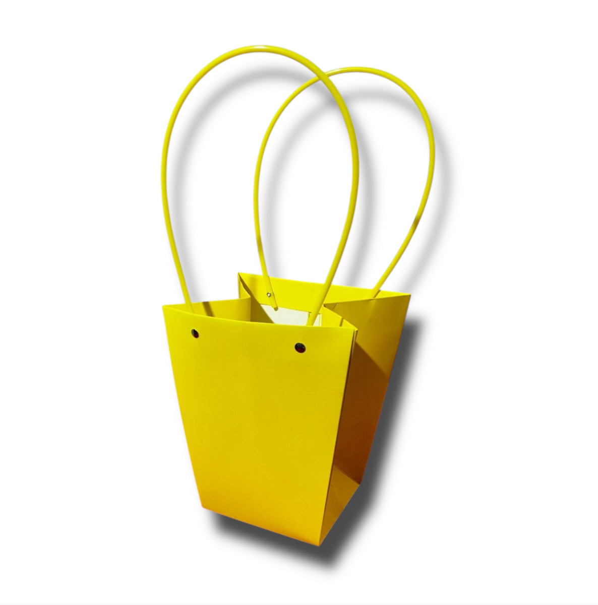 Buste carta con manico 17x20/40cm (12pz)