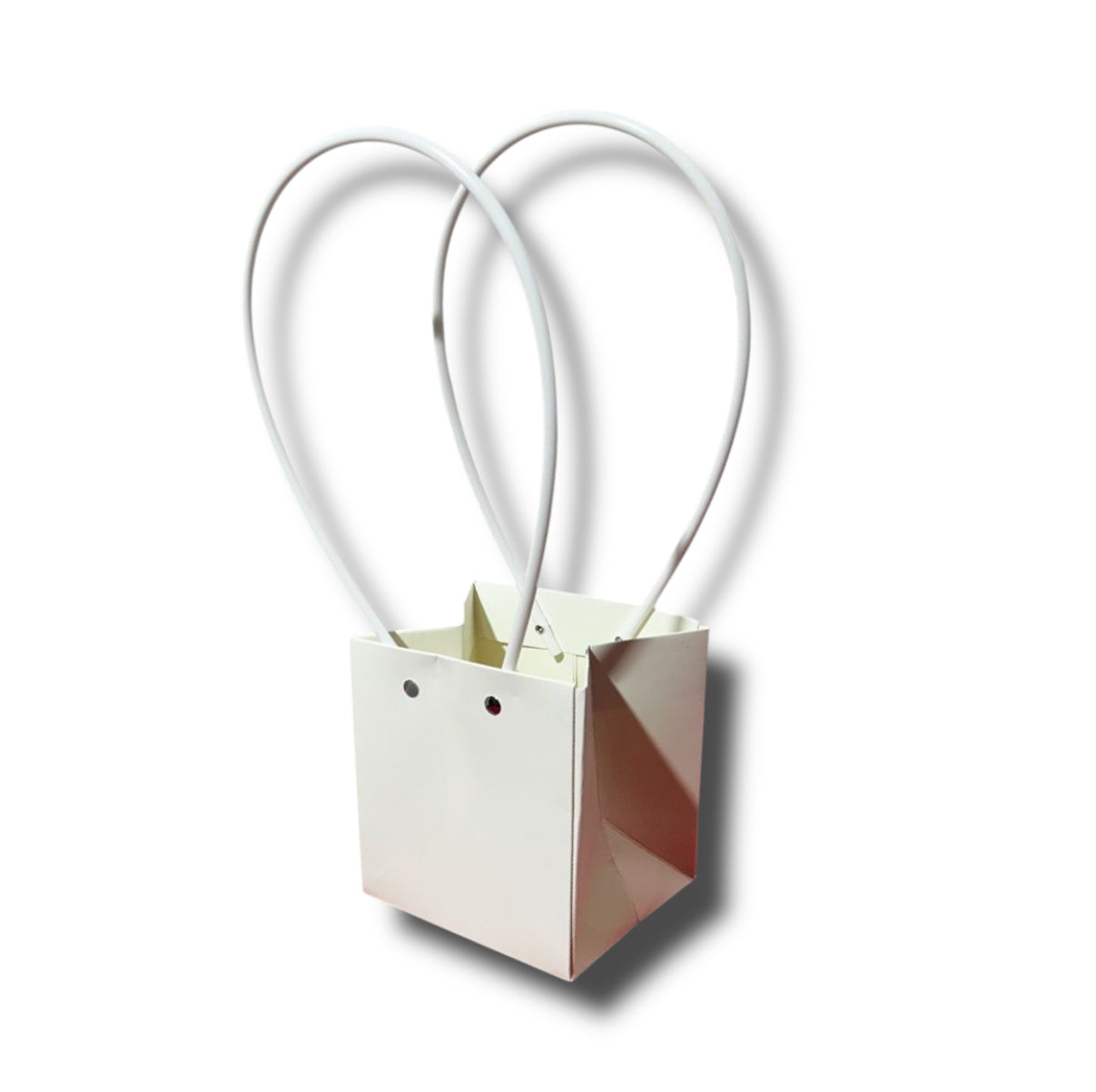 Buste carta con manico 12x13/36cm (12pz)