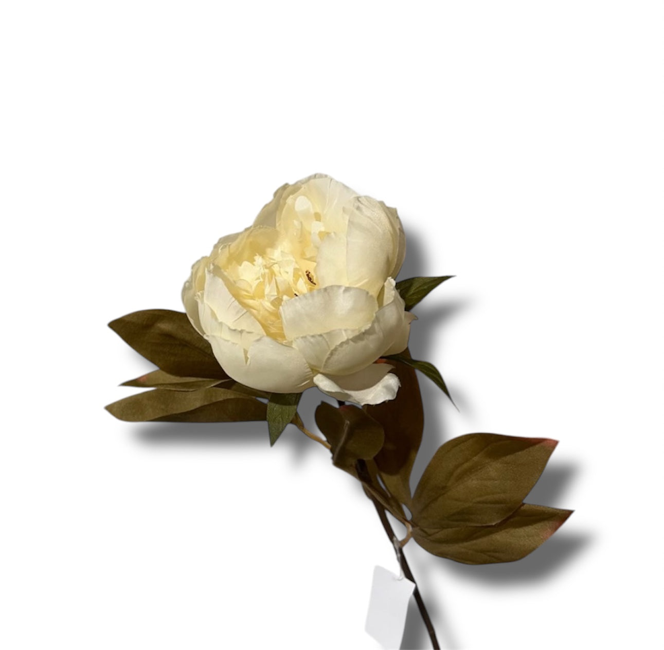 Single peony spray 67cm