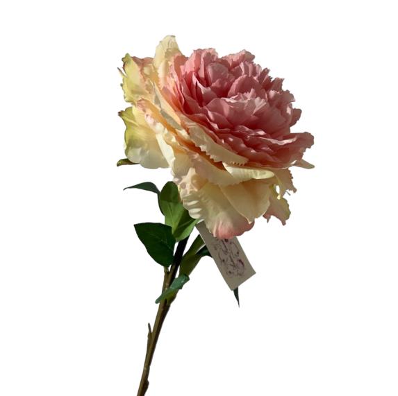 Peonia isabel 65cm
