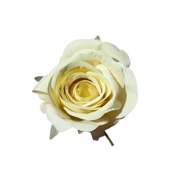 Rose single stem 10x10x18cm (12pz)