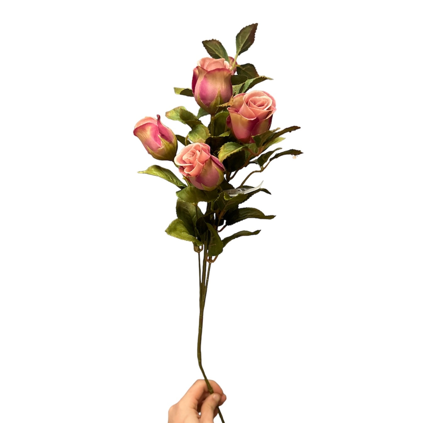 Rose bud spray 12