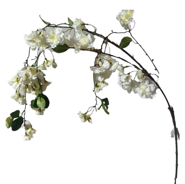Prisco cadente 150cm