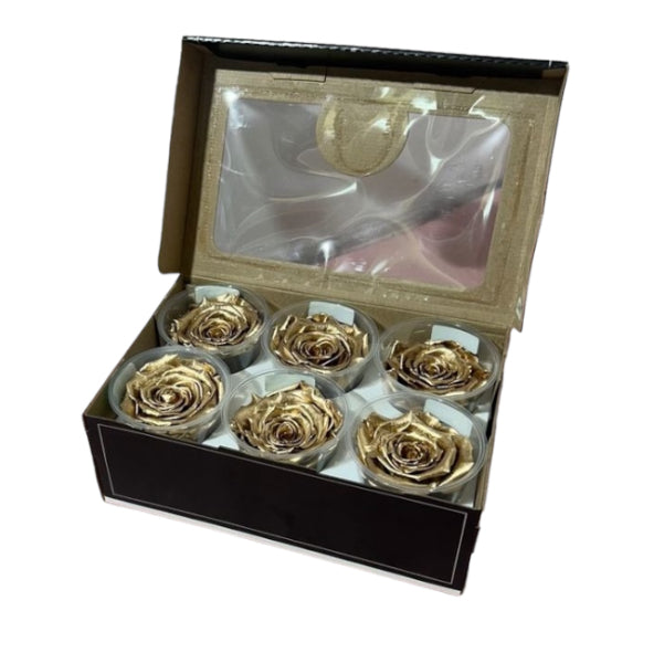 Rosa x6 oro stabilizzata