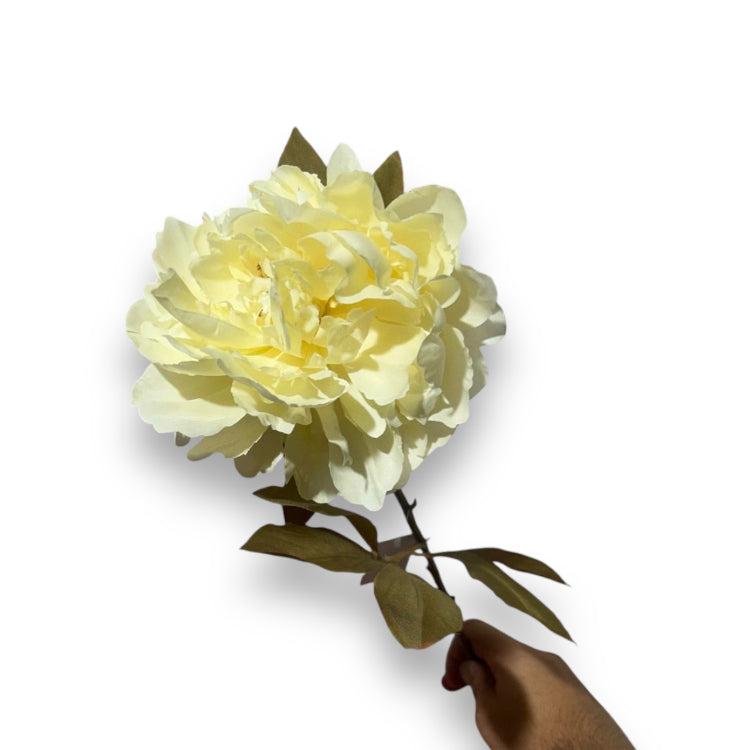 Single peony spray 78cm