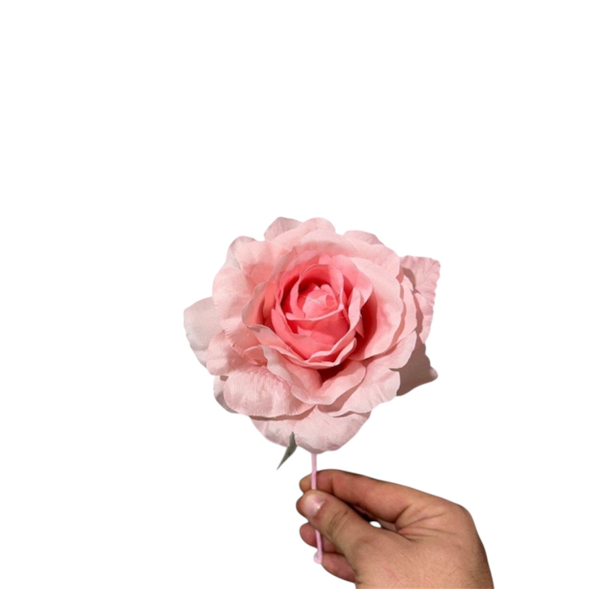 Pick rose D.13cm (12pz)