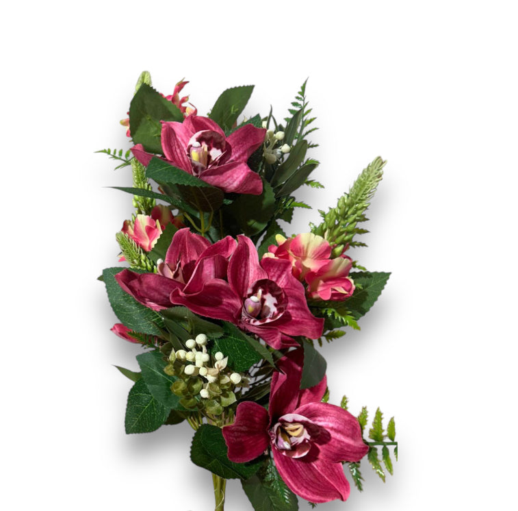 Frontale cimbidium