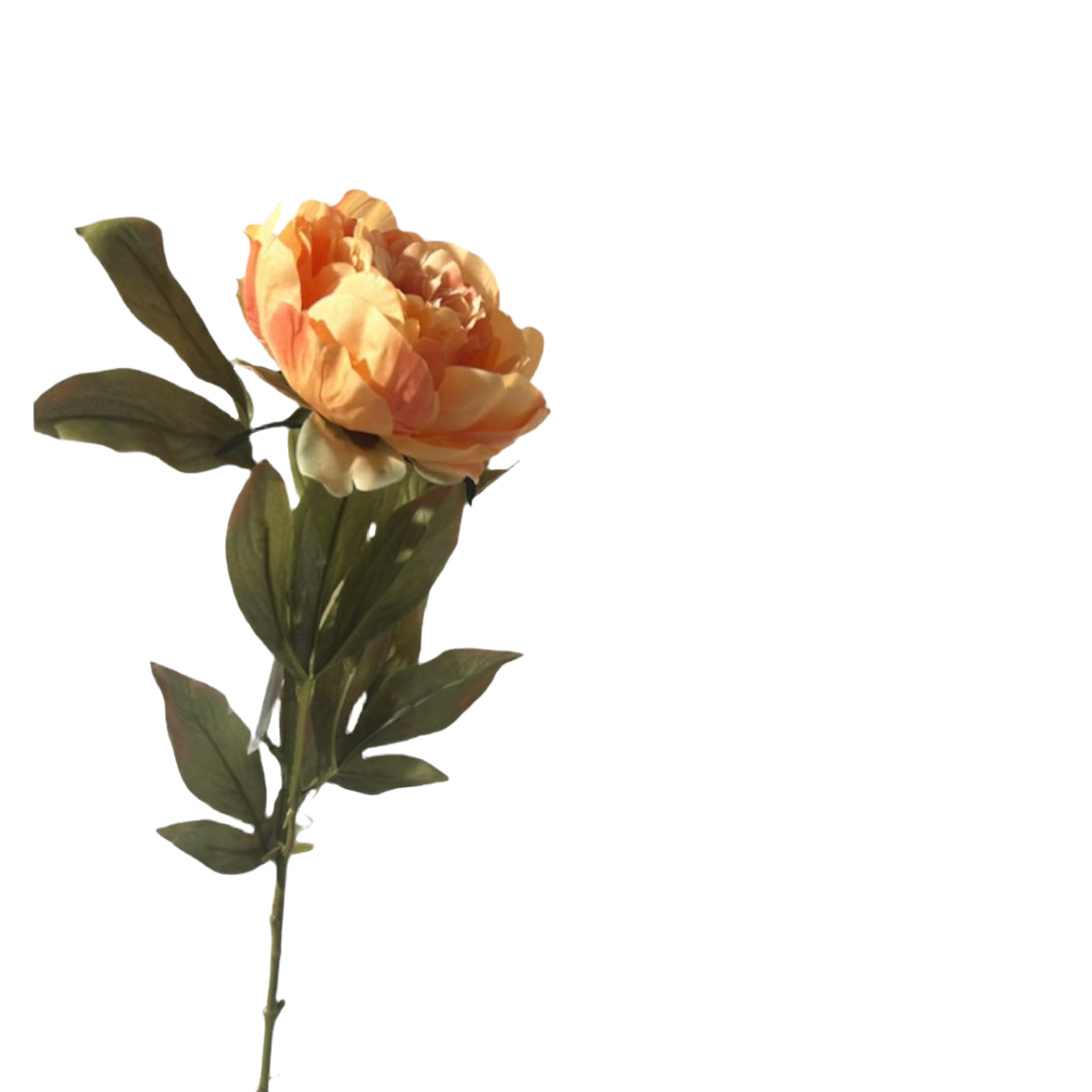 Autumn single peony artificiale