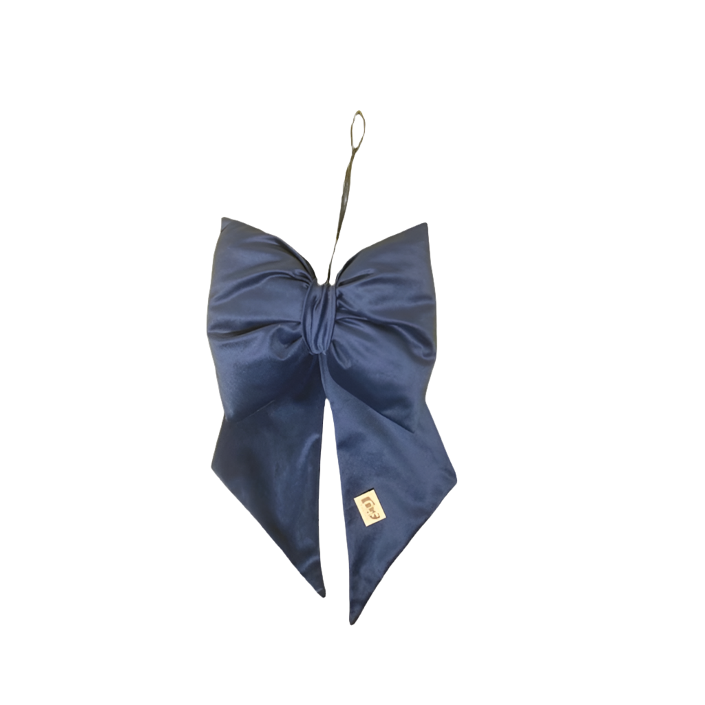 Fiocco velluto blu