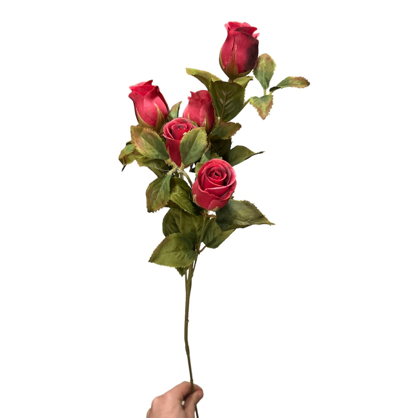 Rose bud spray 12