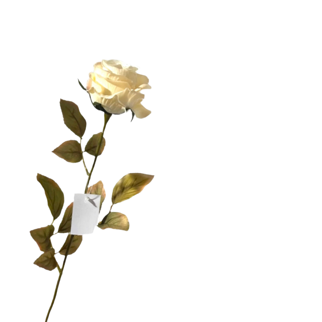 Autumn single rose artificiale