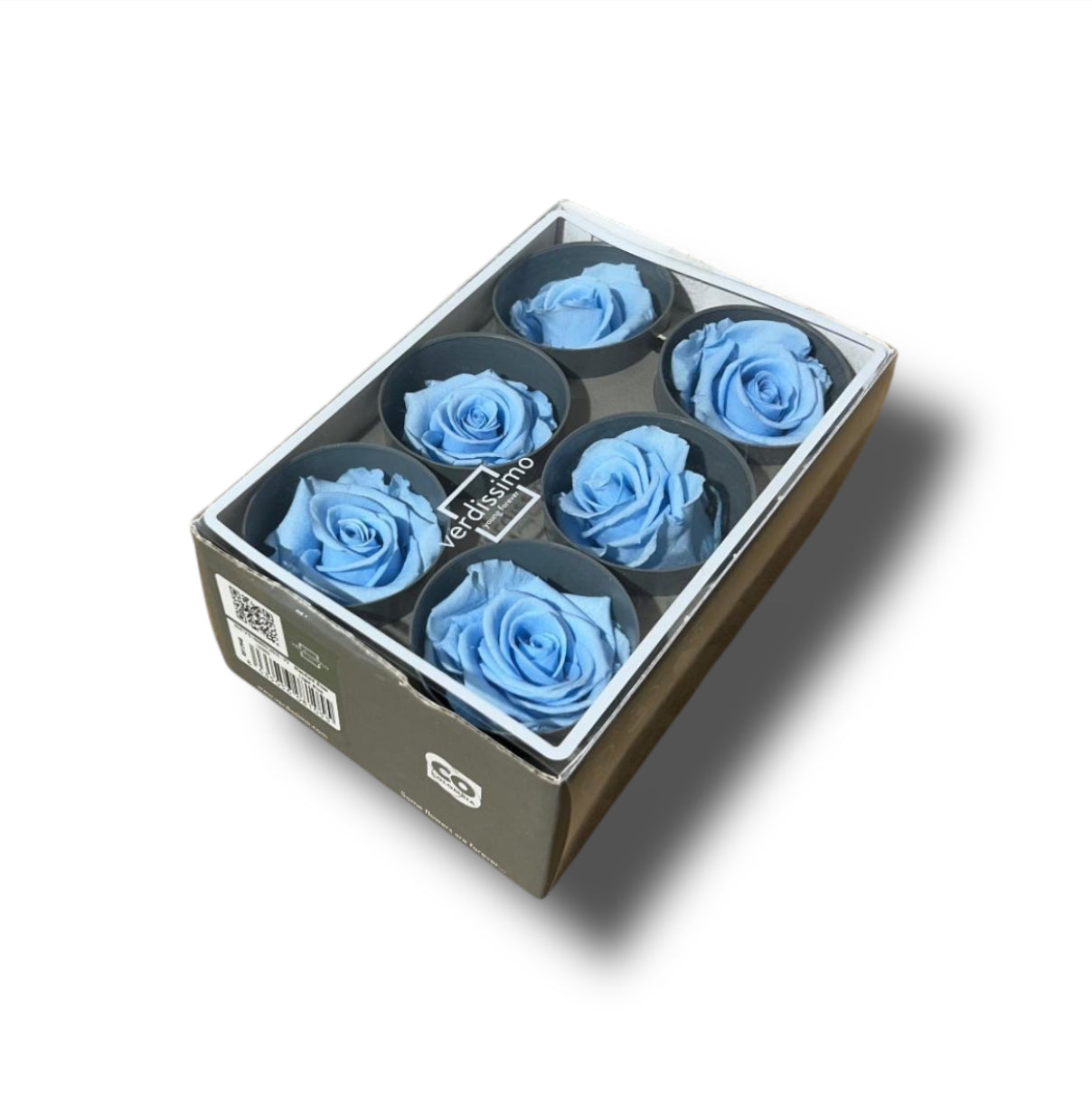 Rose stabilizzate standard 6pz