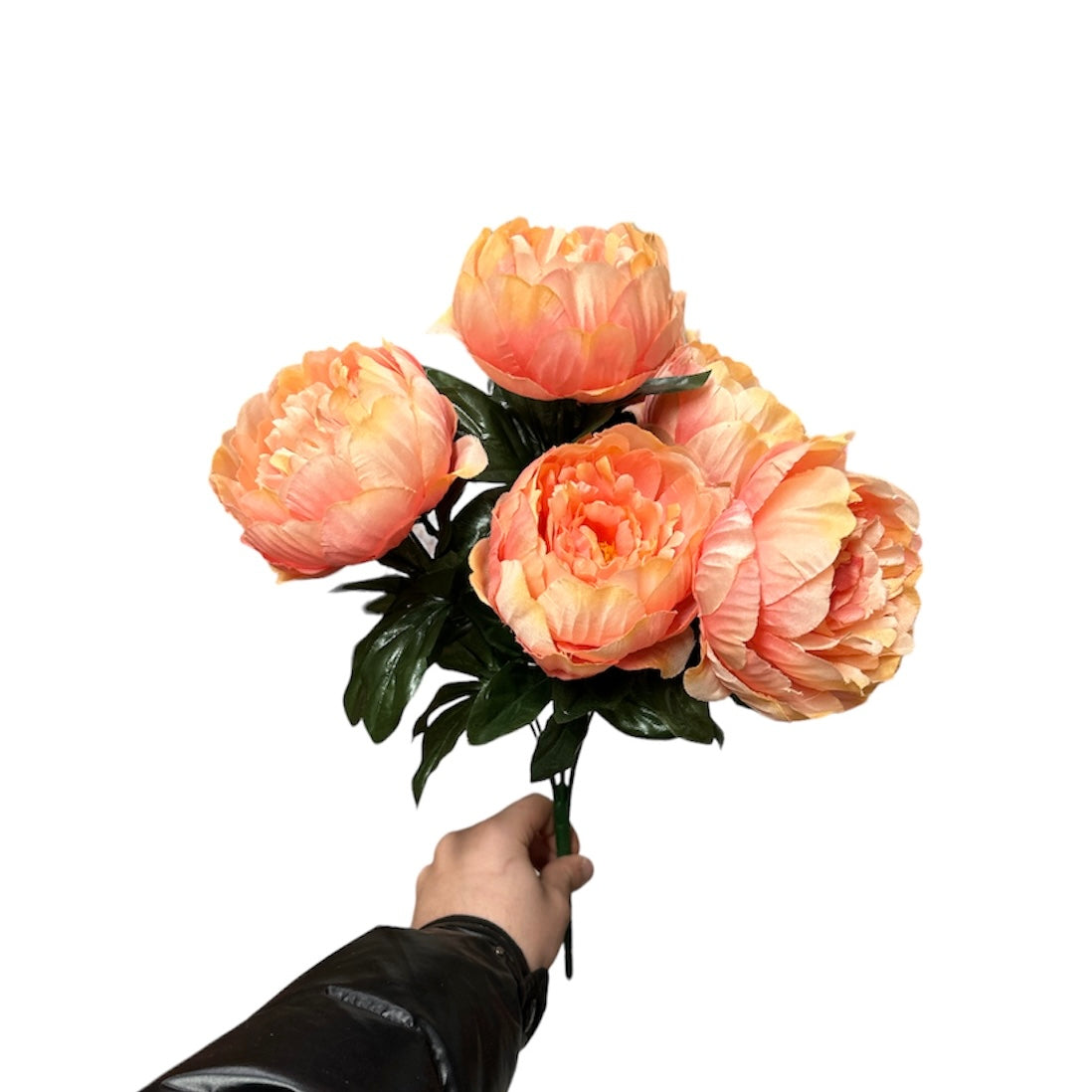 Peonie bush x7