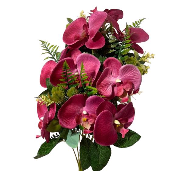 Frontale phalenopsis 55cm