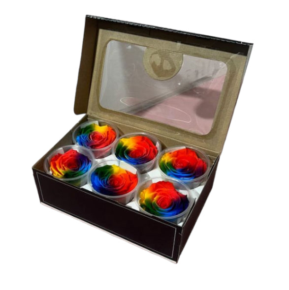 Rosa x6 stabilizzata arcobaleno