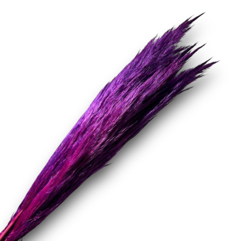 PAMPAS LUNGA COLORATA (6pz)