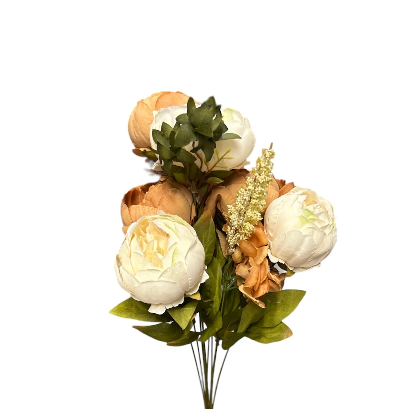 Bush peonie - Mamà Lah