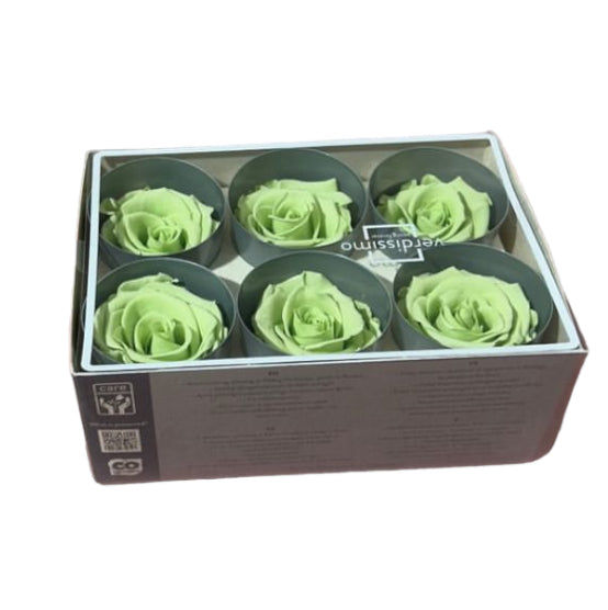 Rose stabilizzate (6pz)
