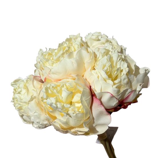 Bouquet peonia x6 38cm - Mamà Lah