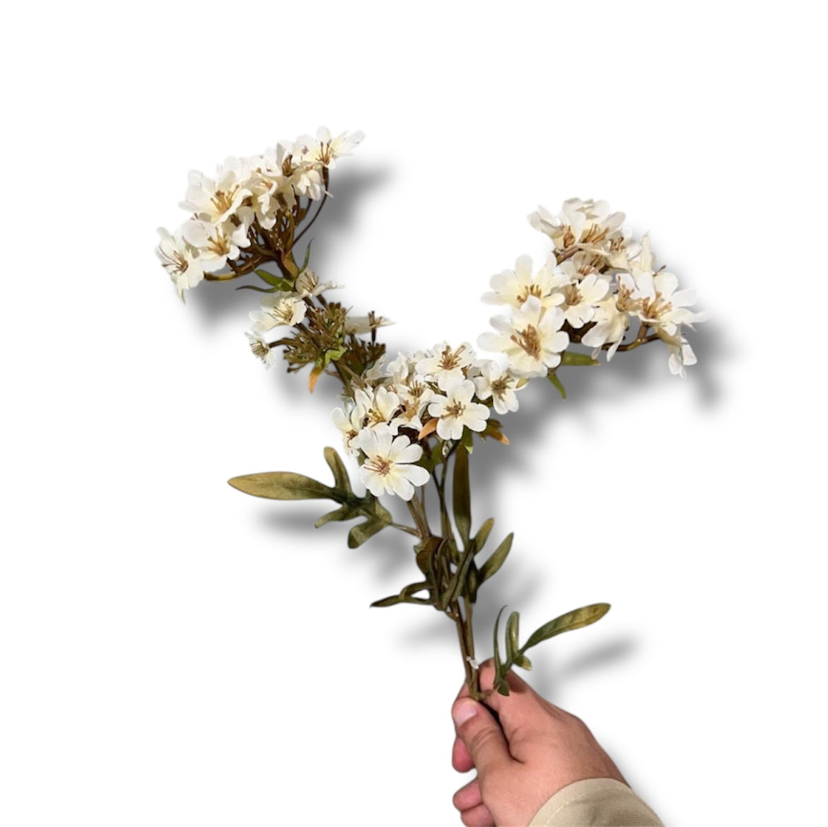 Verbera spray 70cm