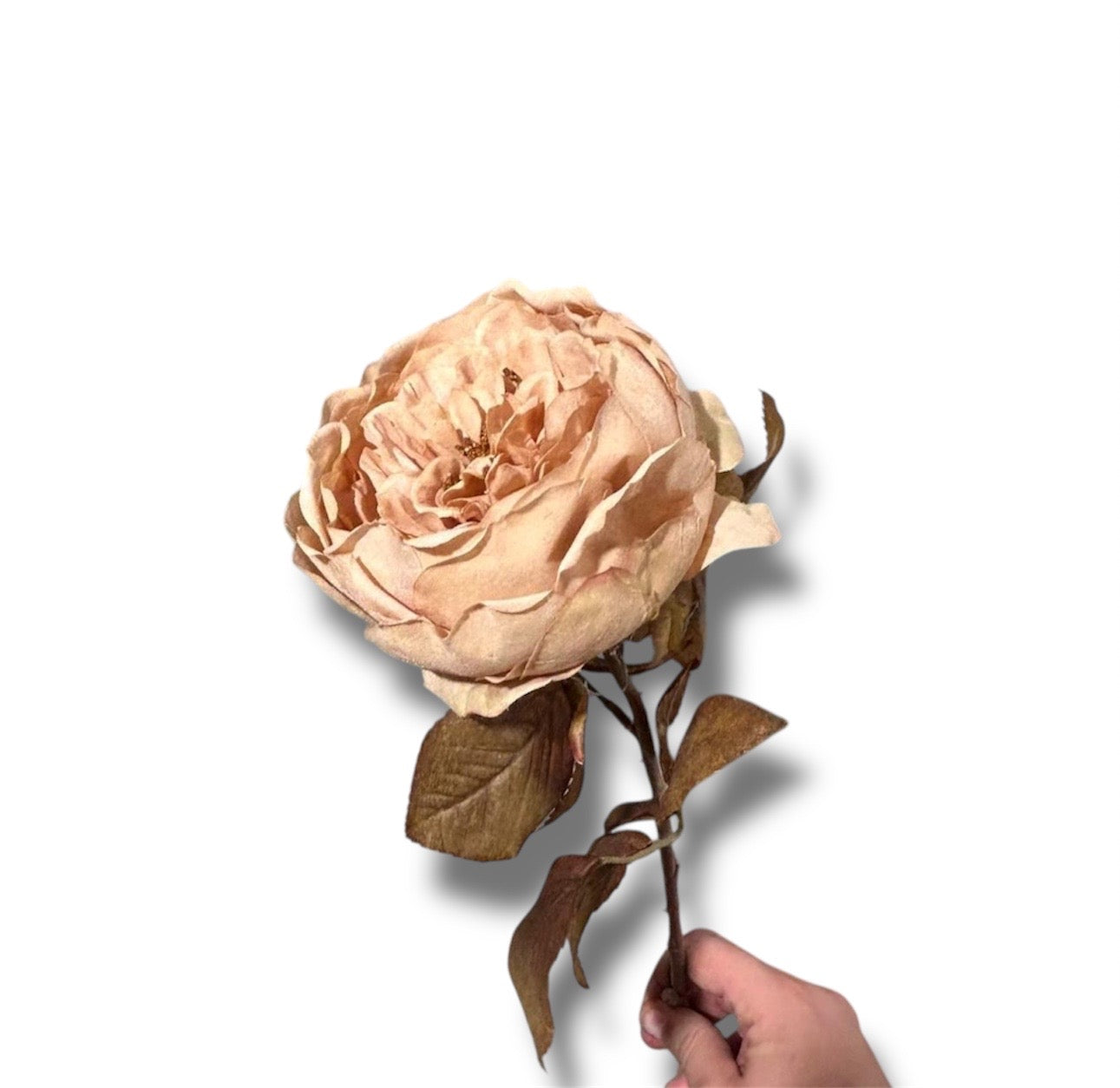 Single rose spray 63cm