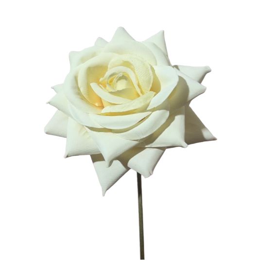 Rose single steam 9x9x14cm (12pz)