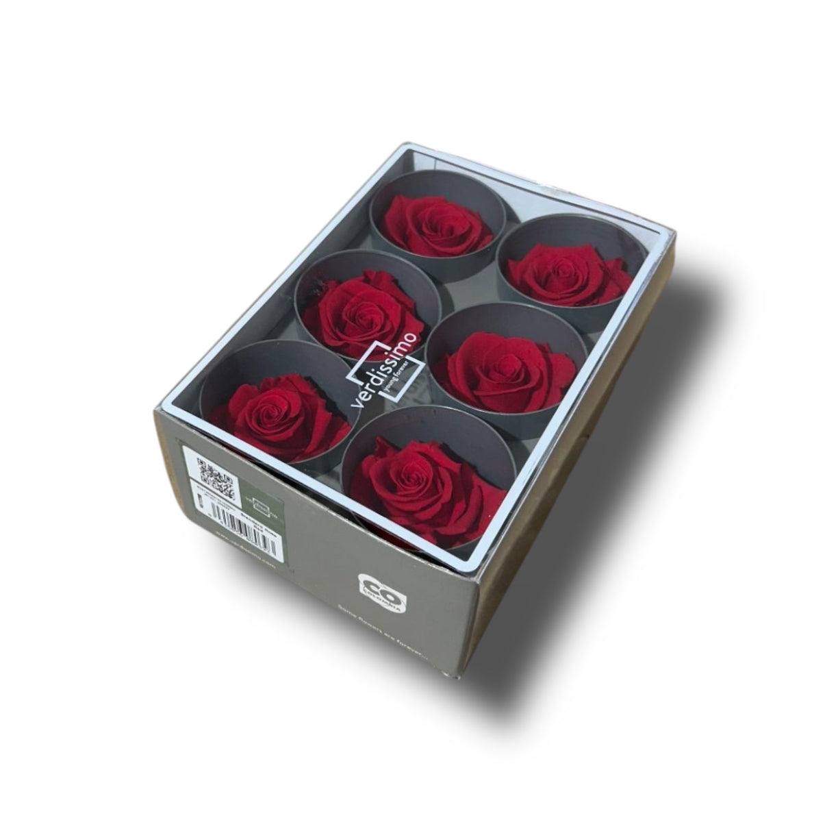 Rose stabilizzate standard 6pz