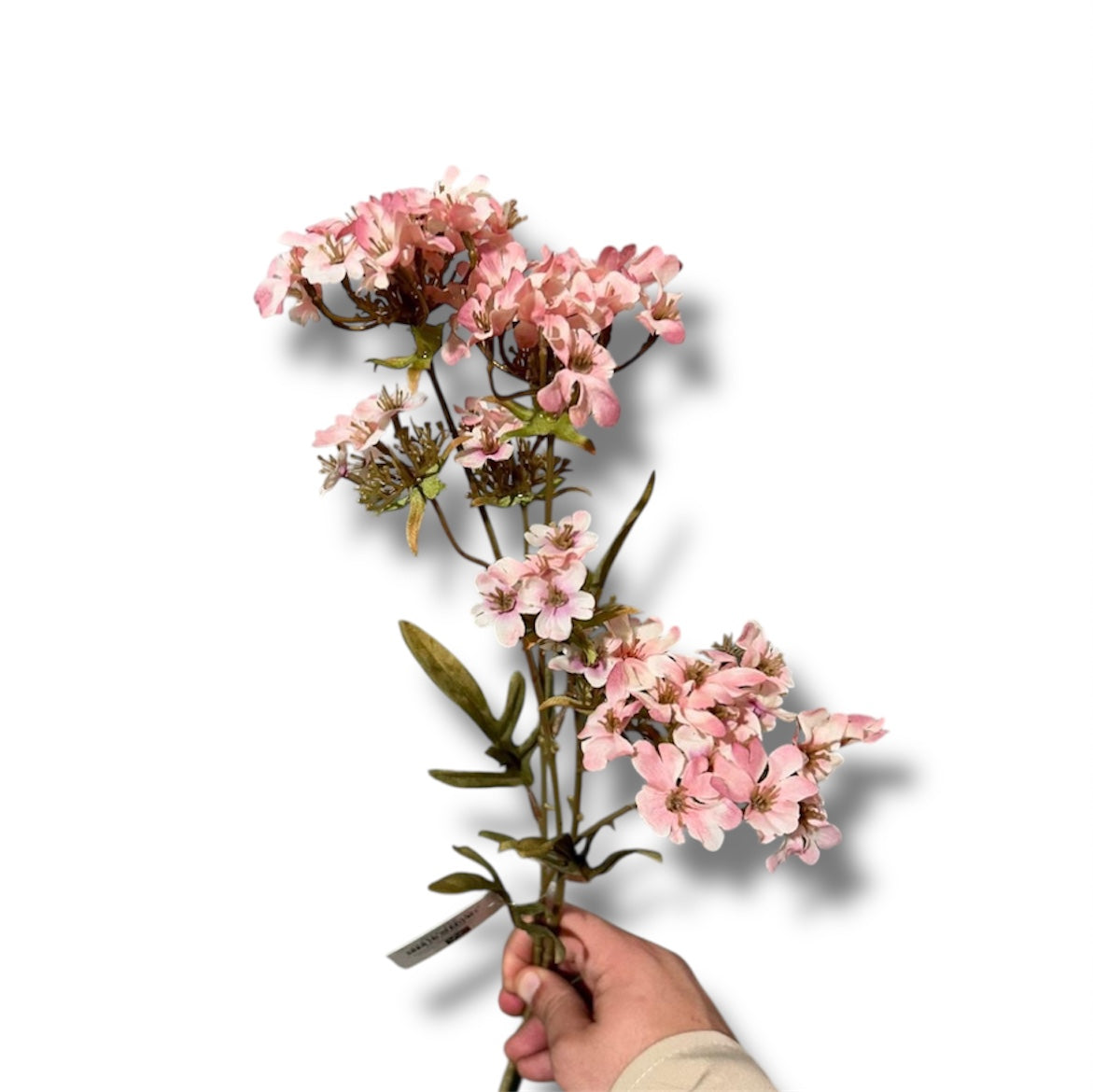 Verbera spray 70cm