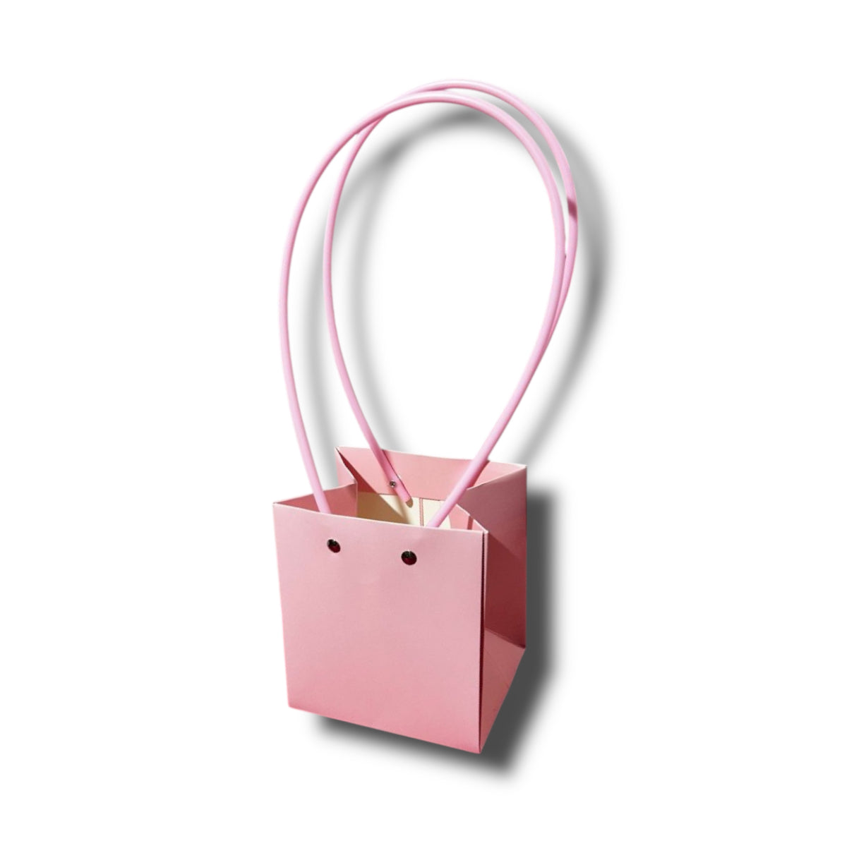 Buste carta con manico 12x13/36cm (12pz)