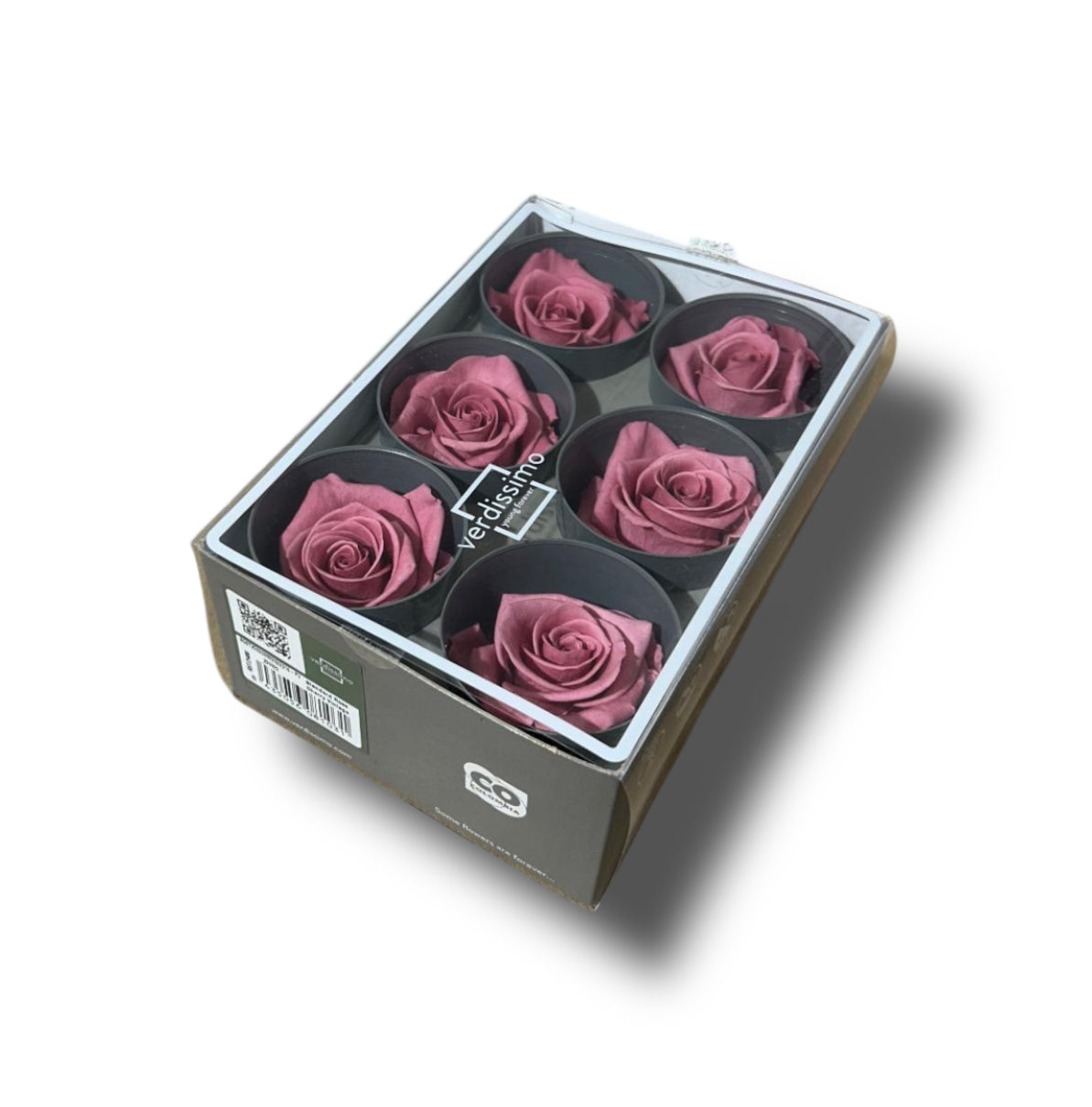 Rose stabilizzate standard 6pz