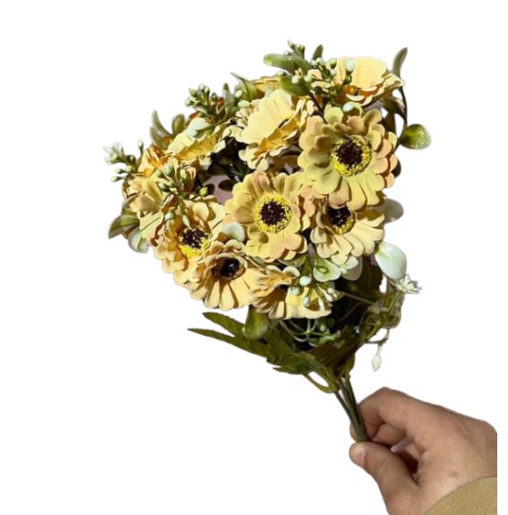 Bush camomilla
