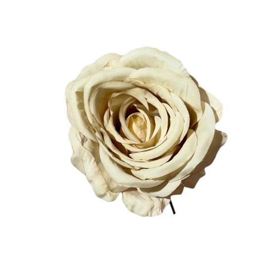 Rose single stem 11x11x19cm (12pz)