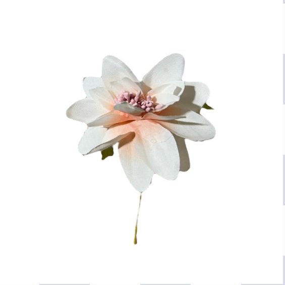 Dalia piccola 6cm (6pz)