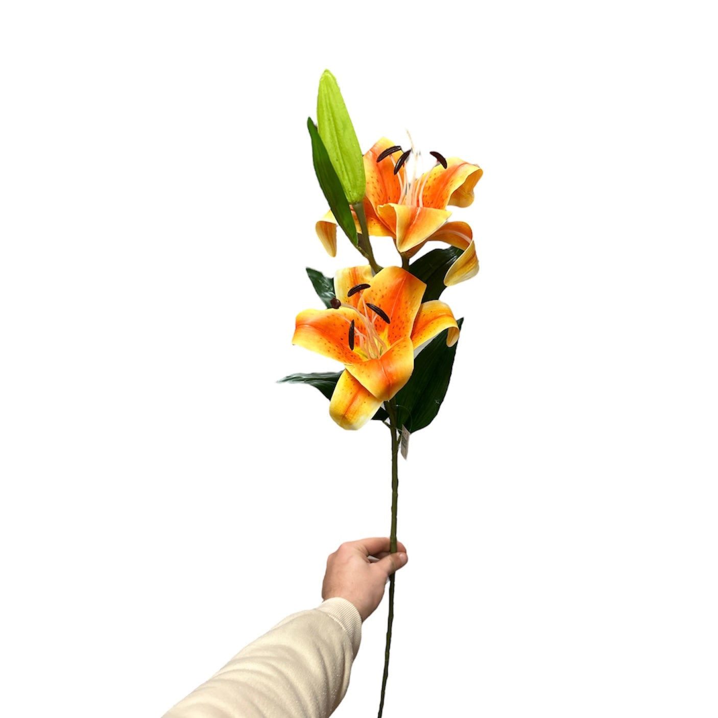 Lilium artificiale - Mamà Lah