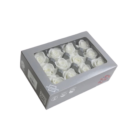 VERDISSIMO Rosa Stabilizzata Pulsante X12 / Diametro di 4 cm (Bianco) - Mamà Lah