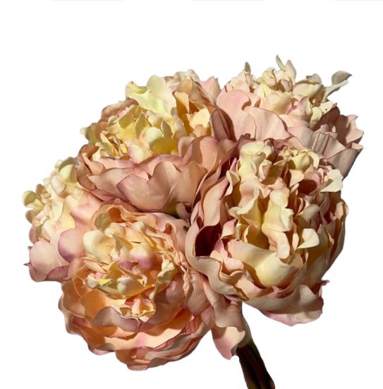 Bouquet peonia x6 38cm - Mamà Lah